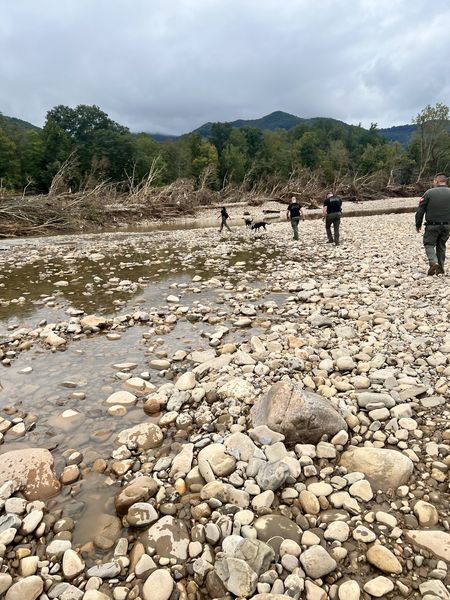 RCSD Assists With Search and Rescue in Newport TN